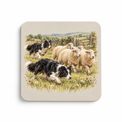 Border Collie Coaster Set – Countryside Herding
